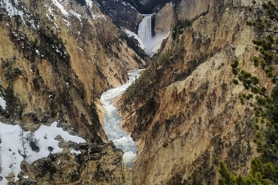 From Jackson: Yellowstone National Park Day Trip with Lunch - Lunch, snacks, drinks, and why the simple plan helps