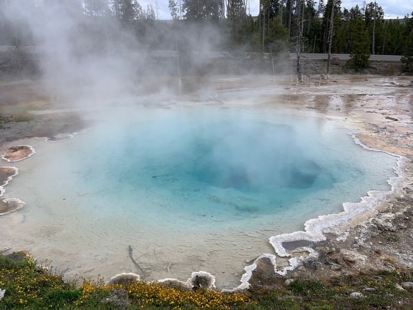 From Jackson: Yellowstone National Park Day Trip with Lunch - Yellowstone’s Lower Loop, in a day that actually makes sense