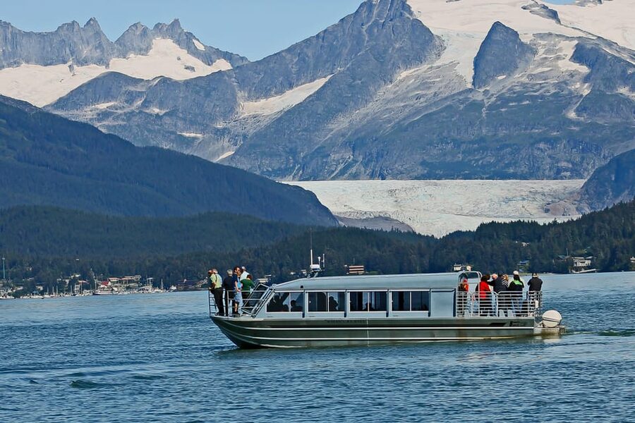 From Juneau: Whale Watching Cruise with Snacks - Should You Book This Juneau Whale Watching Cruise?