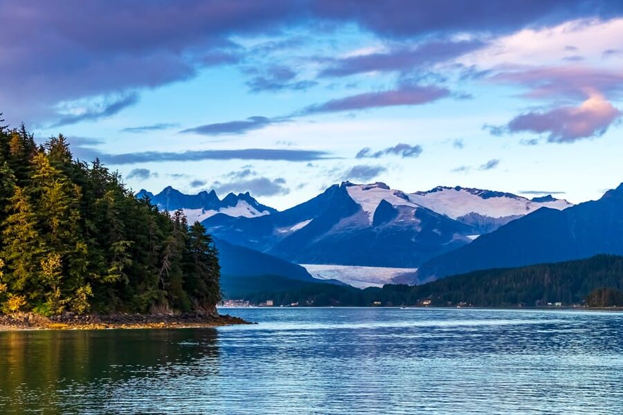 From Juneau: Whale Watching Cruise with Snacks - The Bus Ride to Auke Bay: Scenery With a Purpose