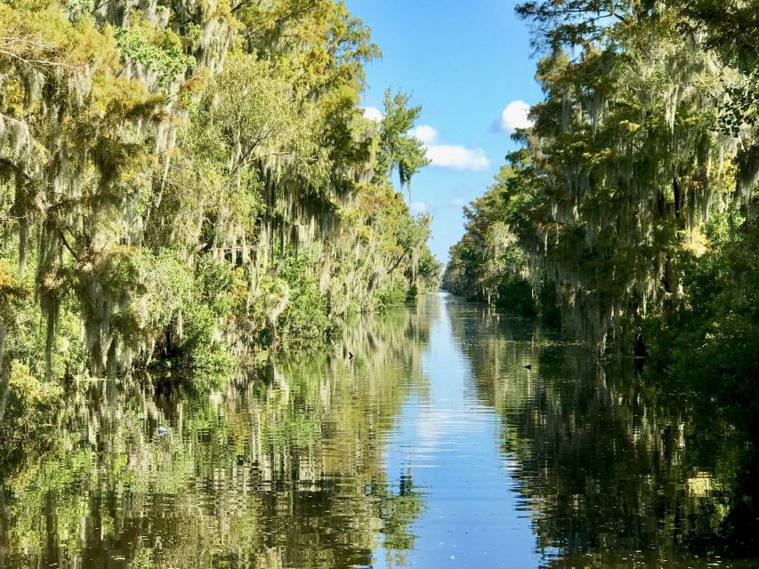 From Lafitte: Swamp Tours South of New Orleans by Airboat - What to Bring, What to Wear, and How to Stay Comfortable