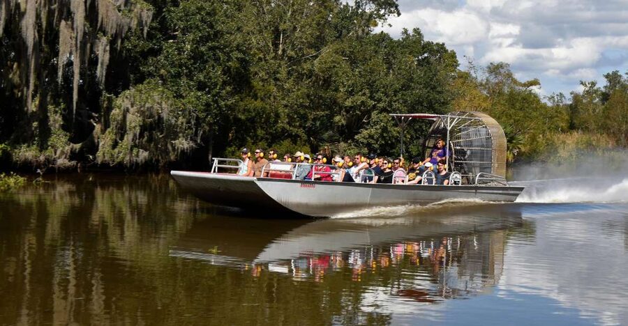 From Lafitte: Swamp Tours South of New Orleans by Airboat - Sugar and Flour, Albino Alligators, and the Wildlife You Should Expect