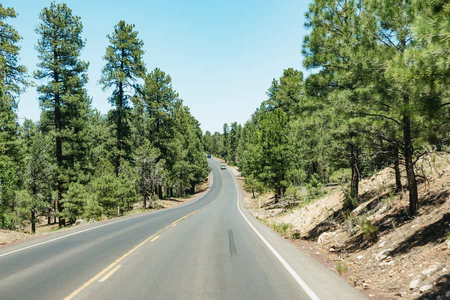 From Las Vegas: Grand Canyon South Rim Day Trip - Lunch at an Arizona diner: plan it like a fuel stop