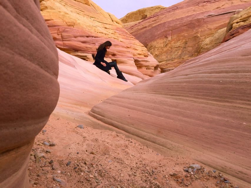 From Las Vegas: Valley of Fire State Park Tour - Petrified trees and 4,000-year-old petroglyphs