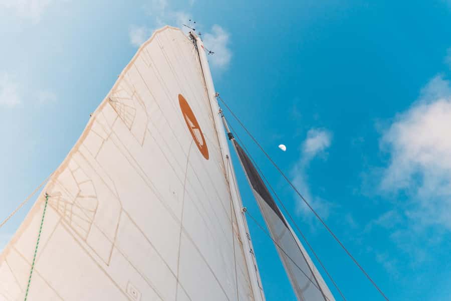 From Ma'alaea: 'Alihilani Sunset Sail Catamaran Tour - Wildlife Spotting: Dolphins, Seabirds, and Winter Humpbacks