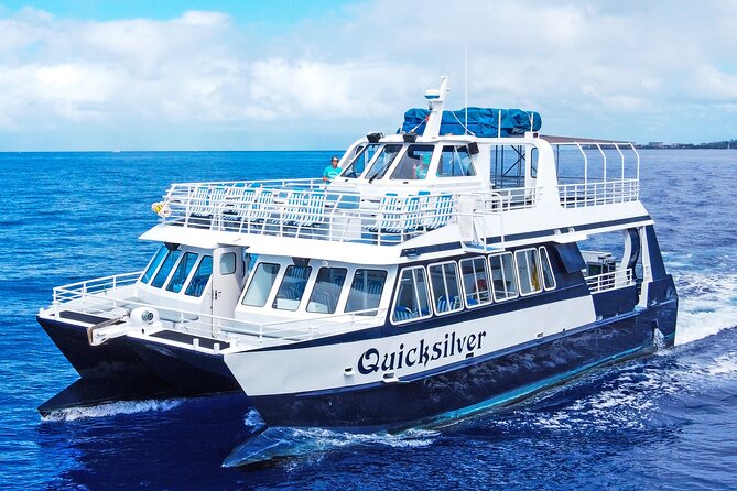 From Maalaea: Whale Watching Tour Aboard the Quicksilver - Key things to know before you go