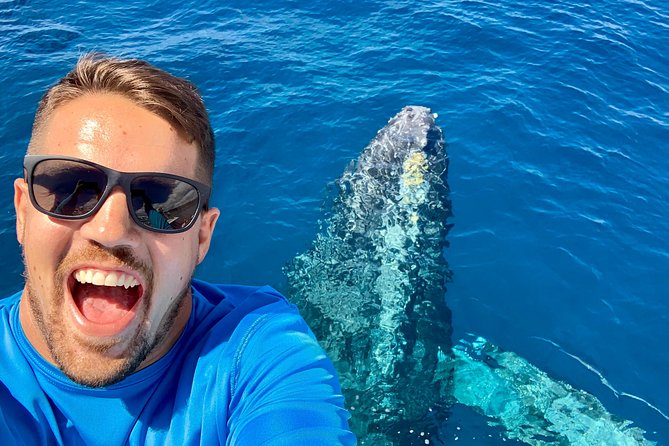 From Maalaea: Whale Watching Tour Aboard the Quicksilver - Hydrophones: the whale songs you can actually hear