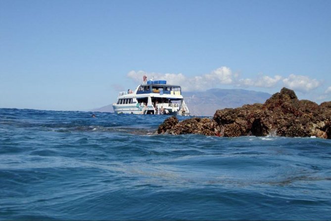 From Maalaea: Whale Watching Tour Aboard the Quicksilver - What to pack so the cruise feels easy