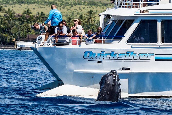 From Maalaea: Whale Watching Tour Aboard the Quicksilver - Seating, shade, restrooms, and included drinks