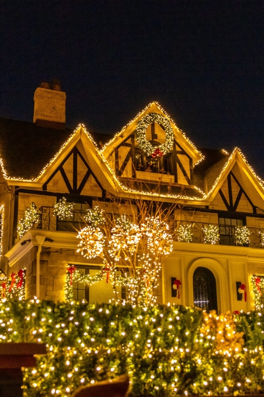 From Manhattan: 4-Hour Dyker Heights Holiday Lights Bus Tour - Brooklyn Bridge Park and DUMBO, where the skyline photos get real
