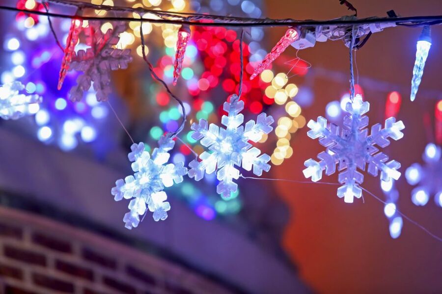 From Manhattan: Dyker Heights Lights & Skyline Tour - The Most Praised Parts: Guides Who Make the Evening Fun