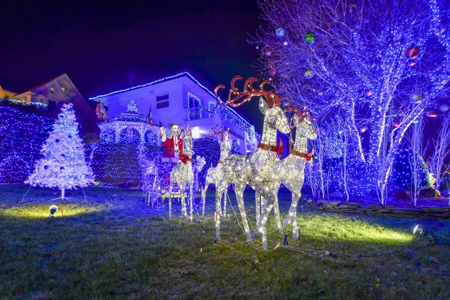 From Manhattan: Dyker Heights Lights & Skyline Tour - Spotting the Details: What to Watch for During the Walk