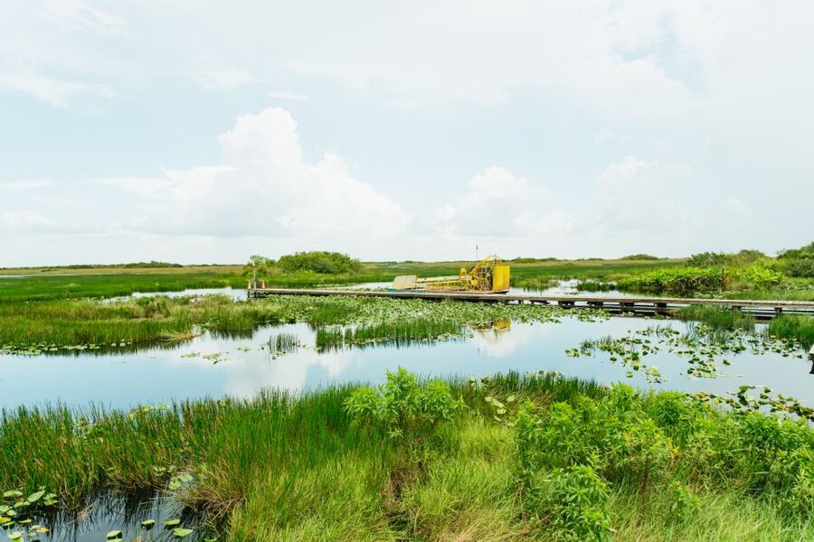 From Miami: Everglades Airboat Ride and Nature Walk - Key Things That Make This Tour Work