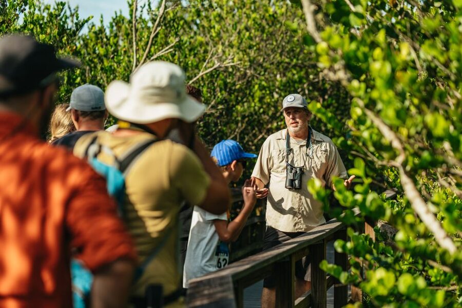 From Miami: Everglades Airboat Ride and Nature Walk - Hotel Pickup to Everglades National Park, Without the Day Drifting