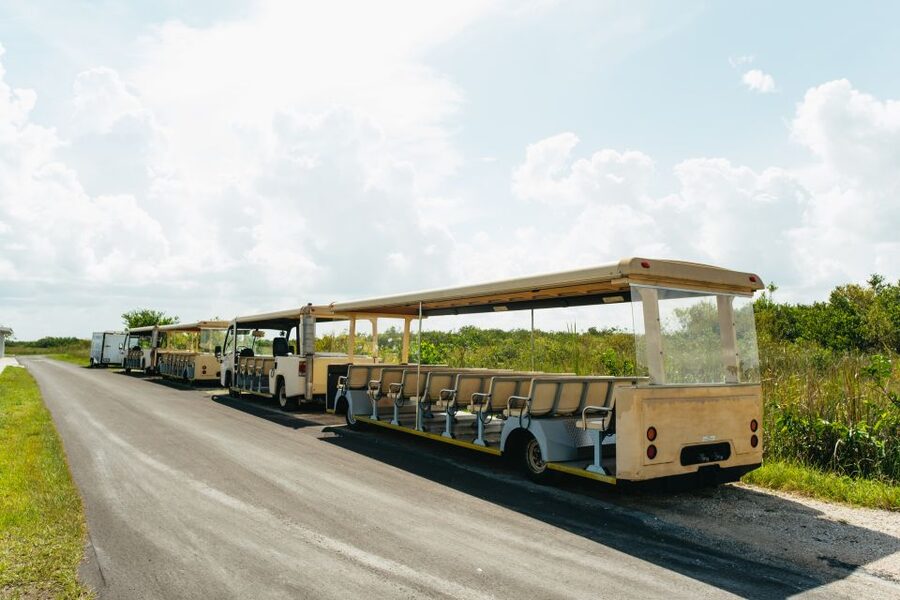 From Miami: Everglades Airboat Ride and Nature Walk - Picnic Lunch Moments, Binoculars, and the Little Comforts That Matter