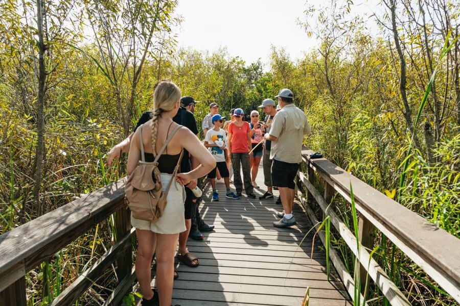 From Miami: Everglades Airboat Ride and Nature Walk - Who This Tour Fits Best (and Who Should Rethink)