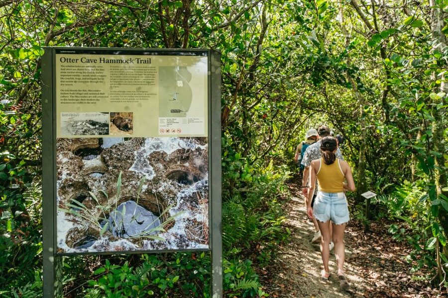 From Miami: Everglades Airboat Ride and Nature Walk - Practical Tips for Better Photos and Better Wildlife Watching
