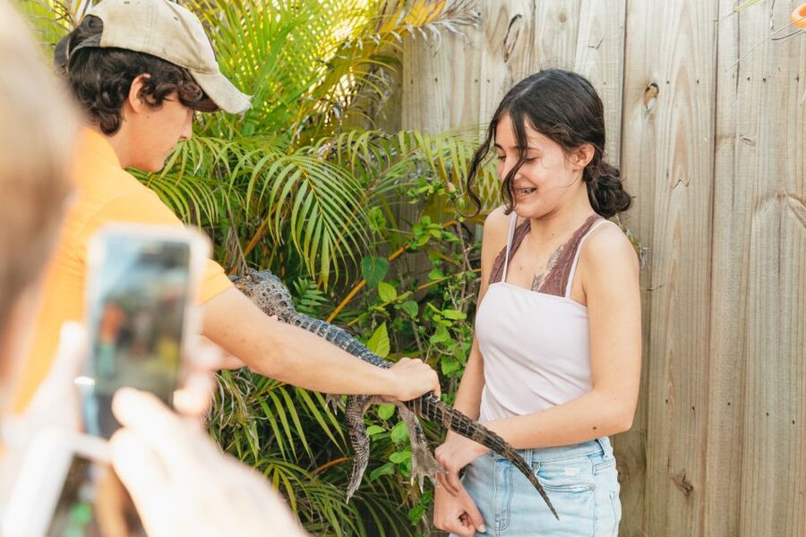 From Miami: Everglades Airboat, Wildlife Show & Bus Transfer - Getting There: Miami Meeting Points and The Bus Ride Reality