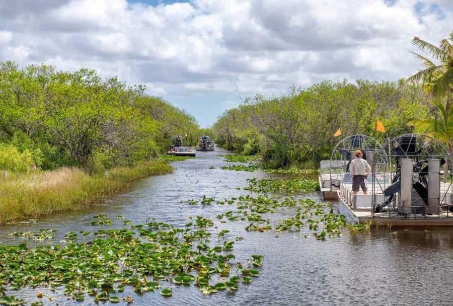 From Miami: Everglades Wildlife Show, Airboat & Bus Transfer - Airboat ride in the Everglades: fast, loud, and very teachable