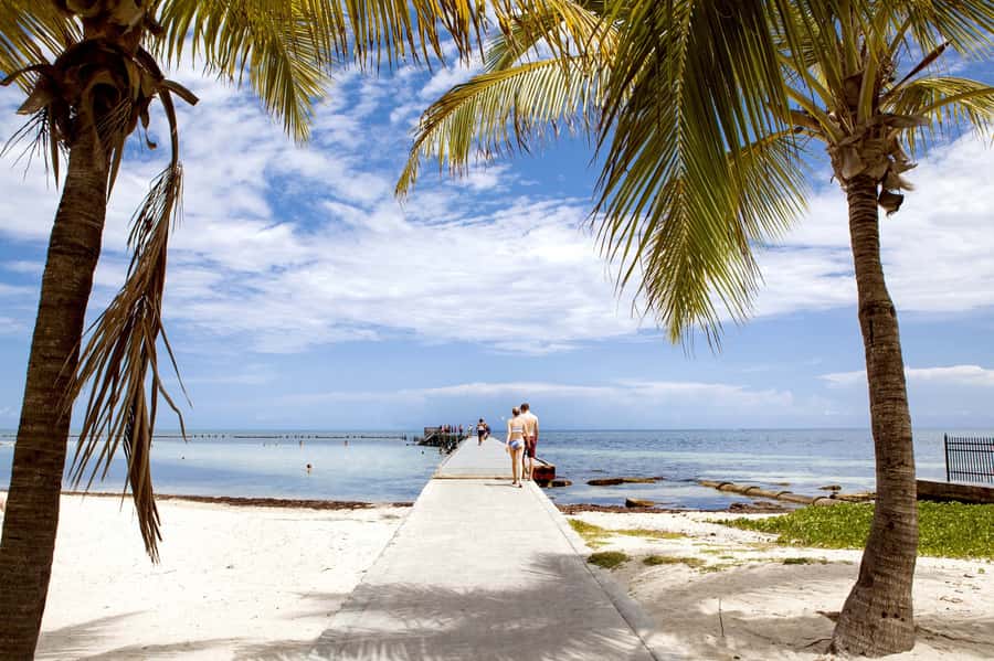 From Miami: Key West Day Tour by Motor Coach Bus - The Road to Key West: Timing, Break Stops, and Why You Should Sleep Light