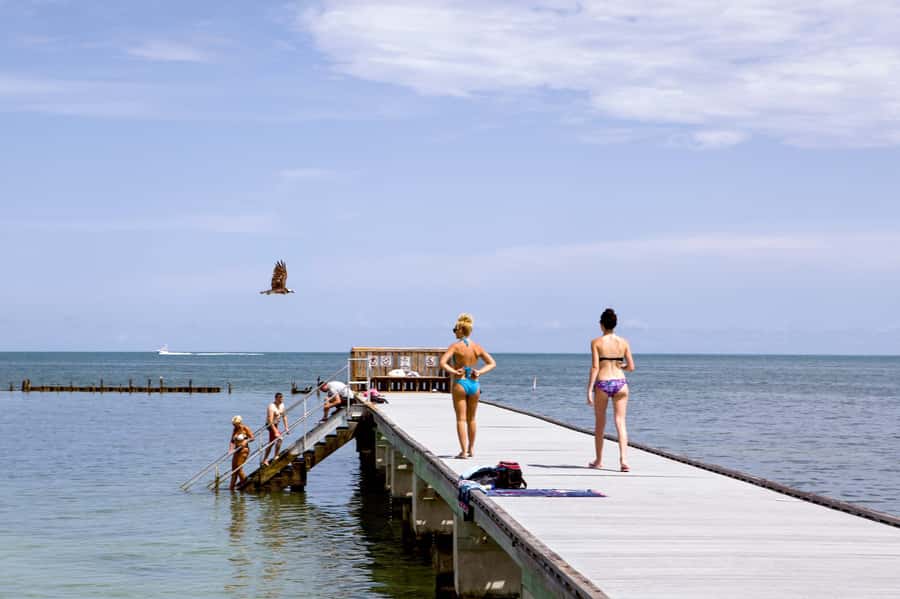 From Miami: Key West Day Tour by Motor Coach Bus - Key West Highlights You Get Without Guessing: Hemingway, Ripley’s, and the Southernmost Point