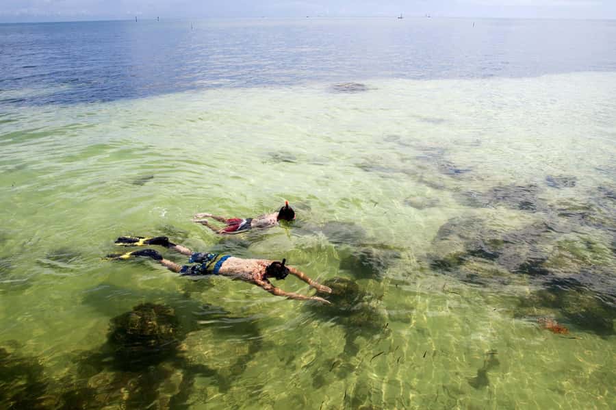 From Miami: Key West Day Tour by Motor Coach Bus - Optional Add-Ons: Snorkeling, Glass-Bottom Boat, and Trolley or Conch Train
