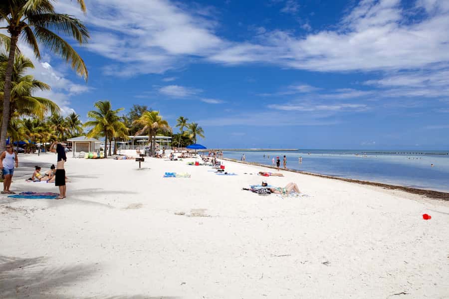 From Miami: Key West Day Tour by Motor Coach Bus - Price and Value: Is $62 Worth It From Miami?