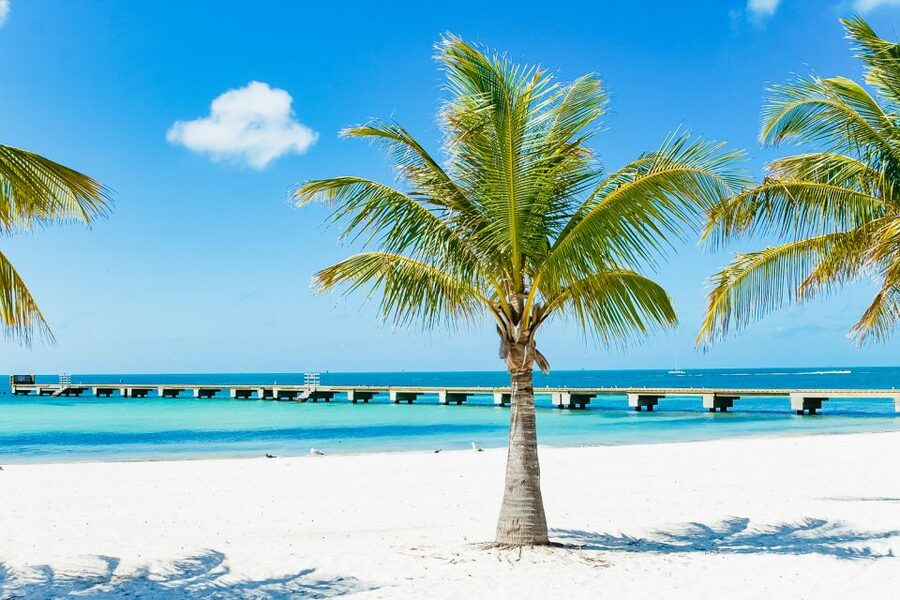 From Miami: Key West Day Trip - Key West Day Trip, the parts that actually matter