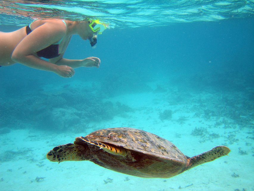 From Miami: Key West Day Trip - Why this Miami to Key West day trip feels like two vacations