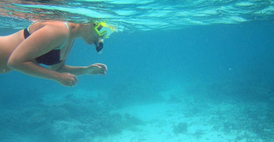 From Miami: Key West Day Trip - The human side: guides, communication, and how the day stays on track
