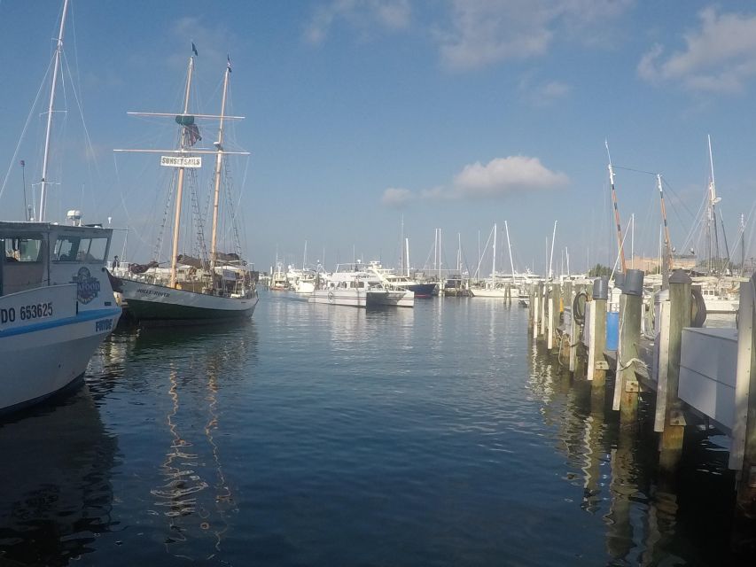 From Miami: Key West Day Trip with Pickup at Selected Hotels - Miami Pickup, the KEY WEST EXPRESS Bus, and Why Waiting Happens
