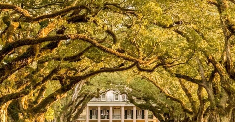 From New Orleans: Oak Alley Plantation Tour - Oak Alley at a Glance: what makes this tour click