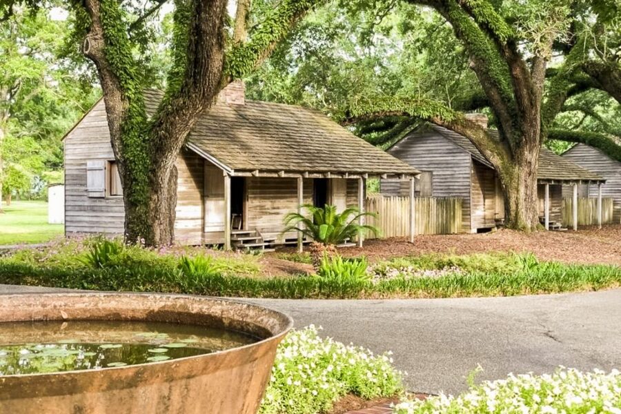From New Orleans: Oak Alley Plantation Tour - How the oak-lined drive sets the mood before you even arrive