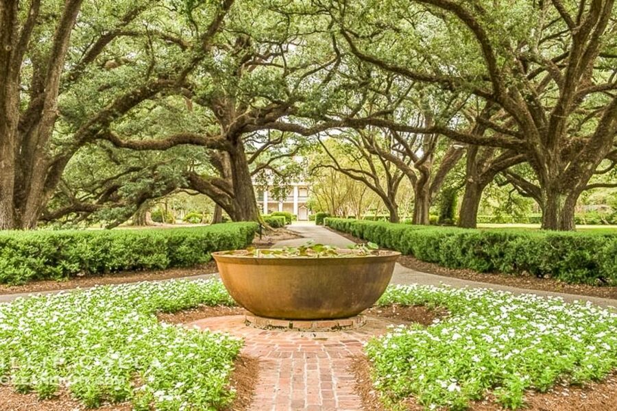 From New Orleans: Oak Alley Plantation Tour - What you get at Oak Alley: guided big house plus real time on the grounds