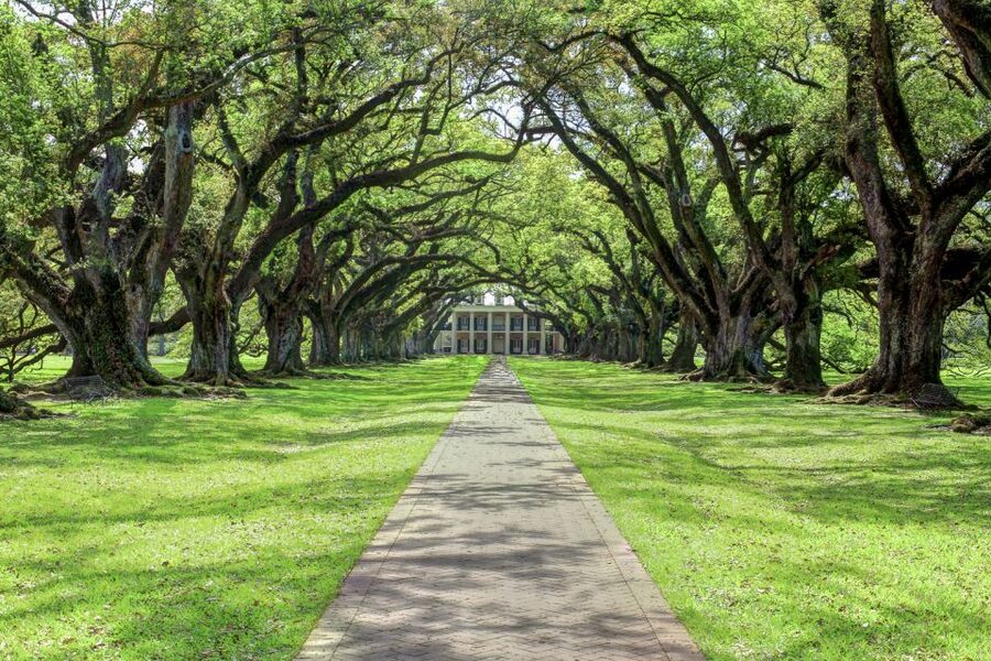 From New Orleans: Oak Alley Plantation Tour - Antique farm machinery and the photo opportunities you will actually use