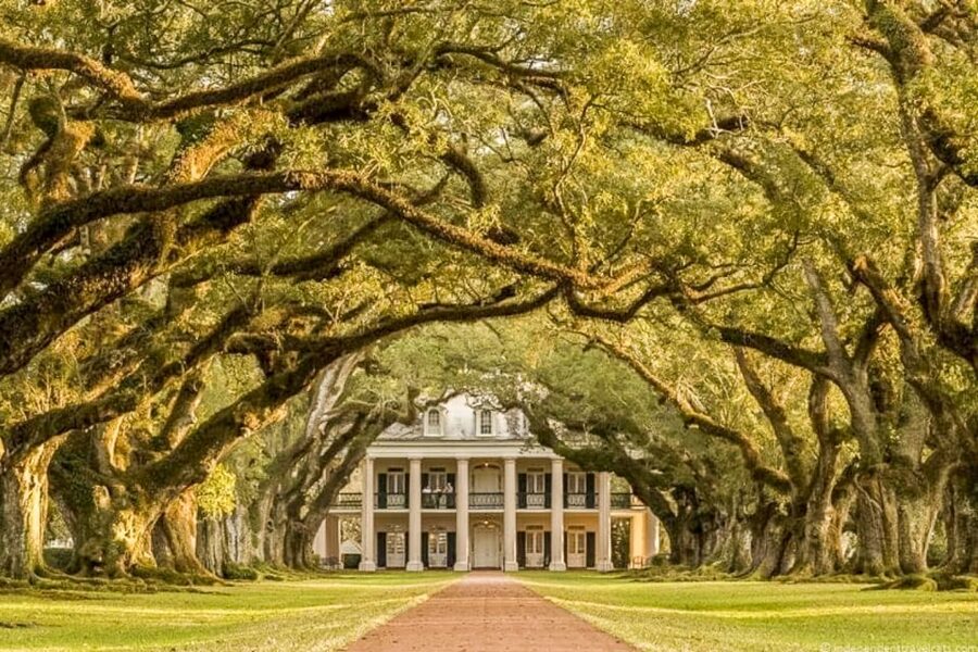 From New Orleans: Oak Alley Plantation Tour - Walking and weather: how to prep so you enjoy every minute