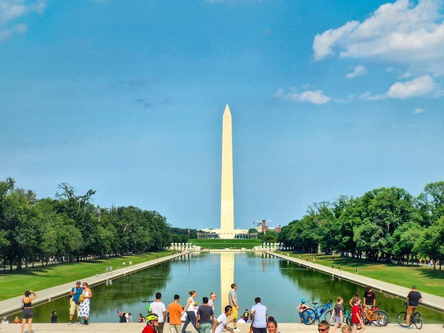 From New York City: Washington and Philadelphia 1-Day Tour - Comfort on the coach: long ride, real coordination