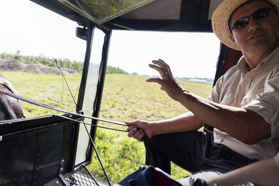 From NYC: Day Trip to Philadelphia and Amish Country - Key Moments You’ll Actually Feel