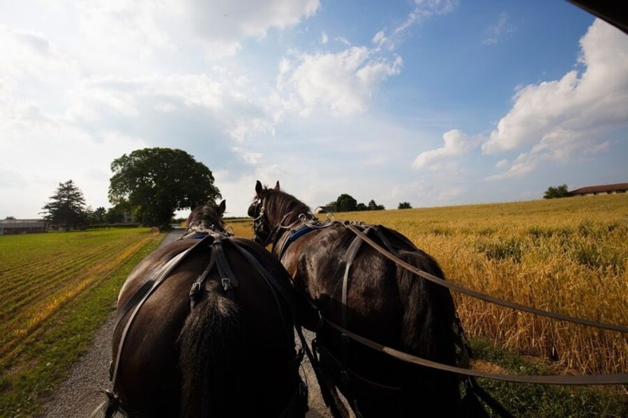 From NYC: Day Trip to Philadelphia and Amish Country - Who This Tour Works Best For