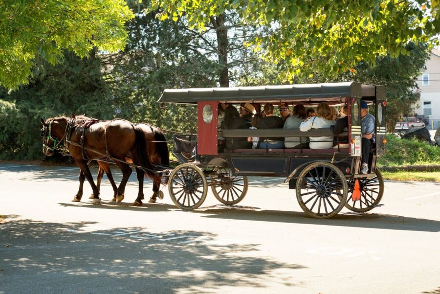 From NYC: Day Trip to Philadelphia and Amish Country - Amish Country After Lunch: The Market Stop and What You Can Do With It