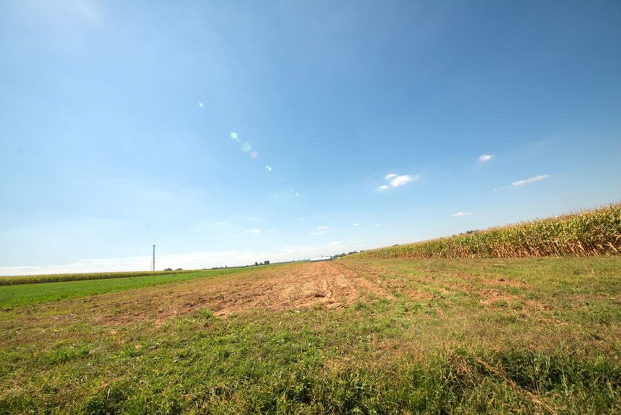 From NYC: Day Trip to Philadelphia and Amish Country - Timing and Pace: Why This Is a Long Day That Still Feels Organized