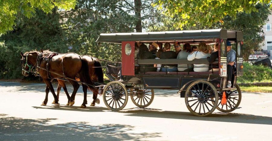 From NYC: Day Trip to Philadelphia and Amish Country - Elfreth’s Alley, Liberty Bell, and the “Small Stuff” That Makes History Click