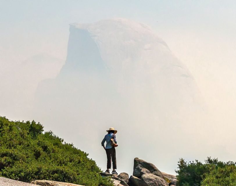 From San Francisco: Day Trip to Yosemite National Park - Leaving San Francisco at dawn: pickups, timing, and expectations