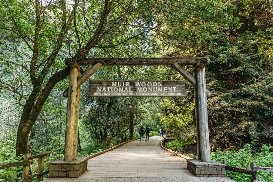 From San Francisco: Guided Muir Woods Tour - Key things to know before you go