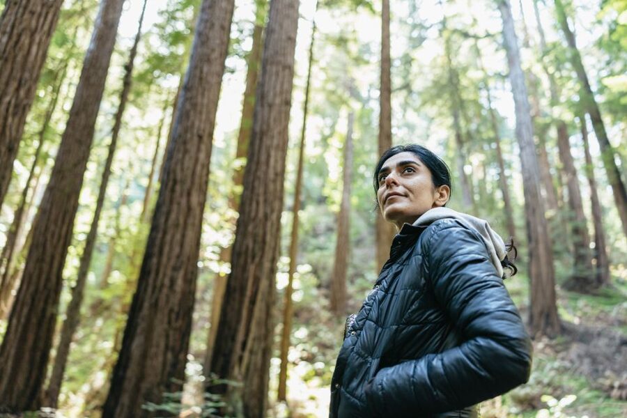 From San Francisco: Guided Muir Woods Tour - From Fisherman’s Wharf to the Golden Gate: the drive that sets the tone