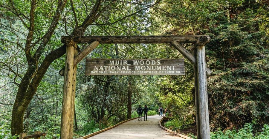 From San Francisco: Guided Muir Woods Tour - The winding part of the day: why the trails feel short and the forest feels big