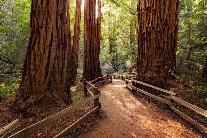 From San Francisco: Guided Tour to Muir Woods and Sausalito - Key takeaways before you go