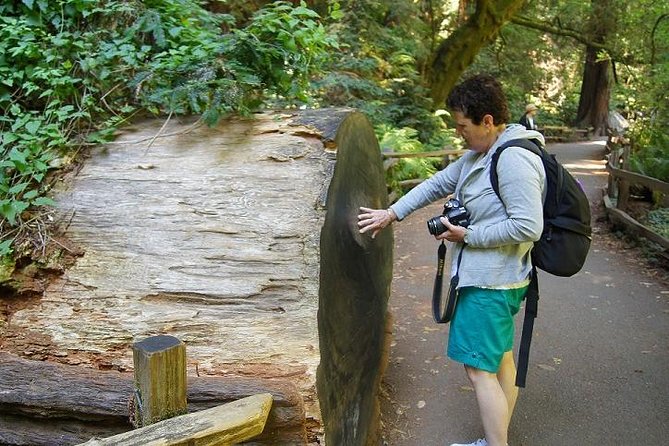 From San Francisco: Guided Tour to Muir Woods and Sausalito - Sausalito: the Mediterranean-like bay town stop, and what fits