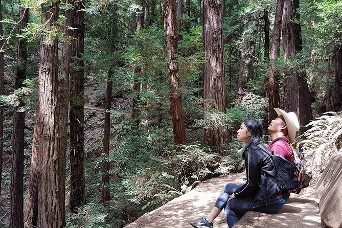 From San Francisco: Guided Tour to Muir Woods and Sausalito - The bus narration: why it matters more than you think