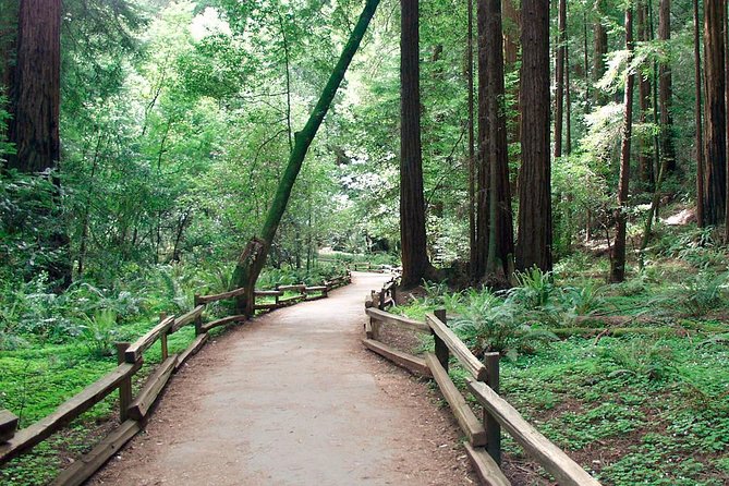 From San Francisco: Guided Tour to Muir Woods and Sausalito - Optional Big Bus upgrade: hop-on hop-off plus digital Chinatown